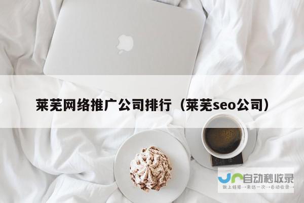 莱芜网络公司：打造莱芜地区领先的网络解决方案专家