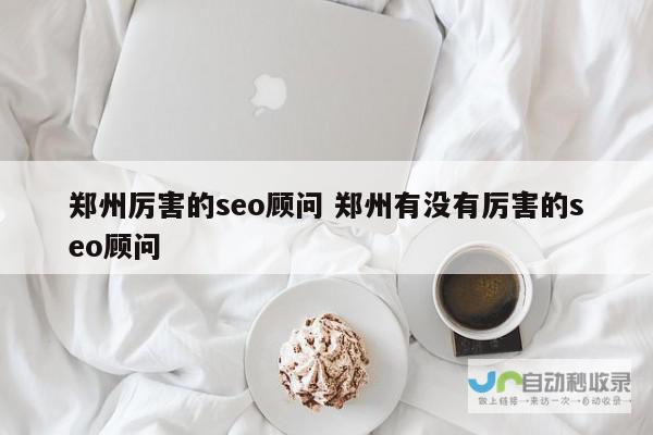 郑州SEO优化服务：专业定制策略，助力企业网站快速发展