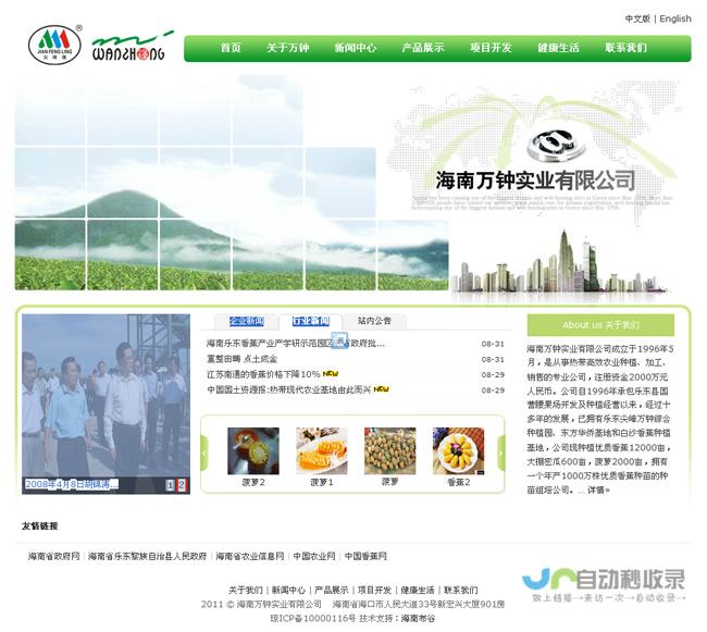海南网站建设：助力您的企业在互联网时代蓬勃发展