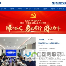 四川省川瑞发展投资有限公司