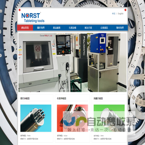 药片冲模-压片机模具-蕪湖諾斯特製藥機械有限公司